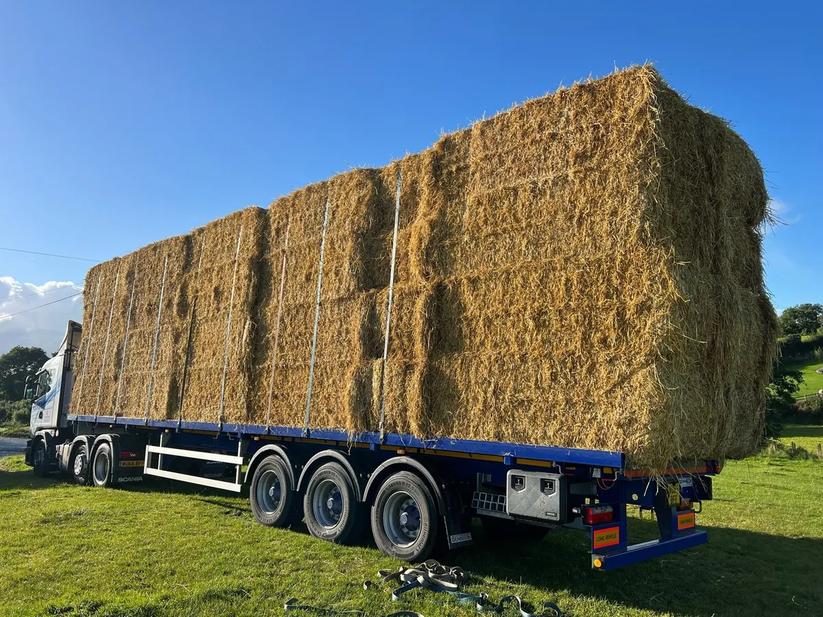 Top Quality Barley Straw Delivered - Image 1