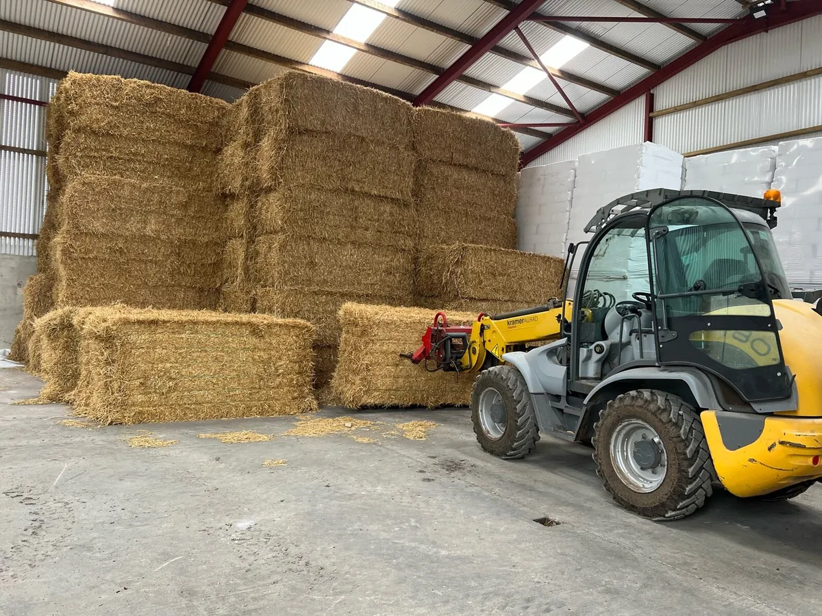 Top Quality 2025 Barley Straw Delivered - Image 3