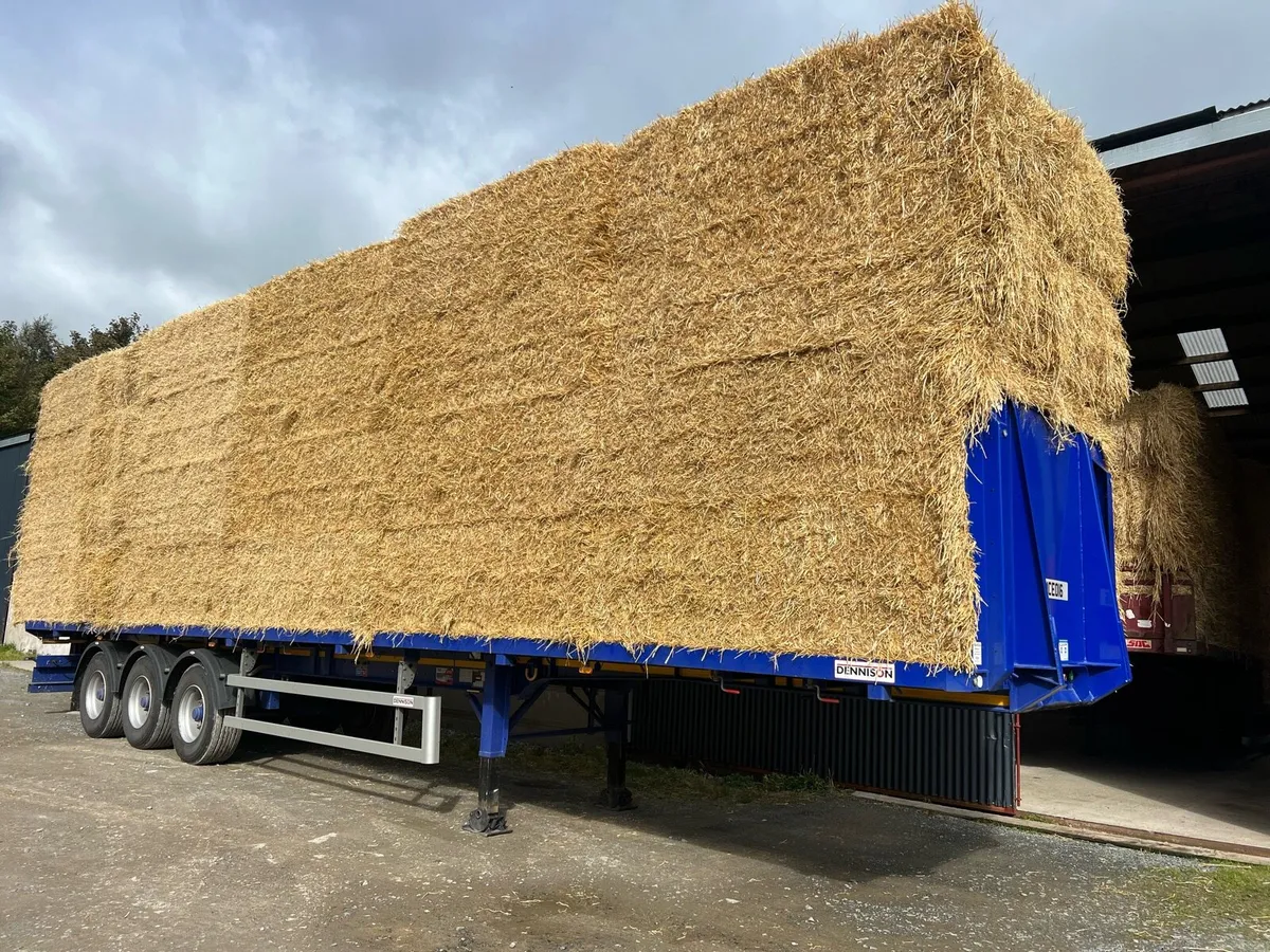 Top Quality Barley Straw Delivered - Image 4