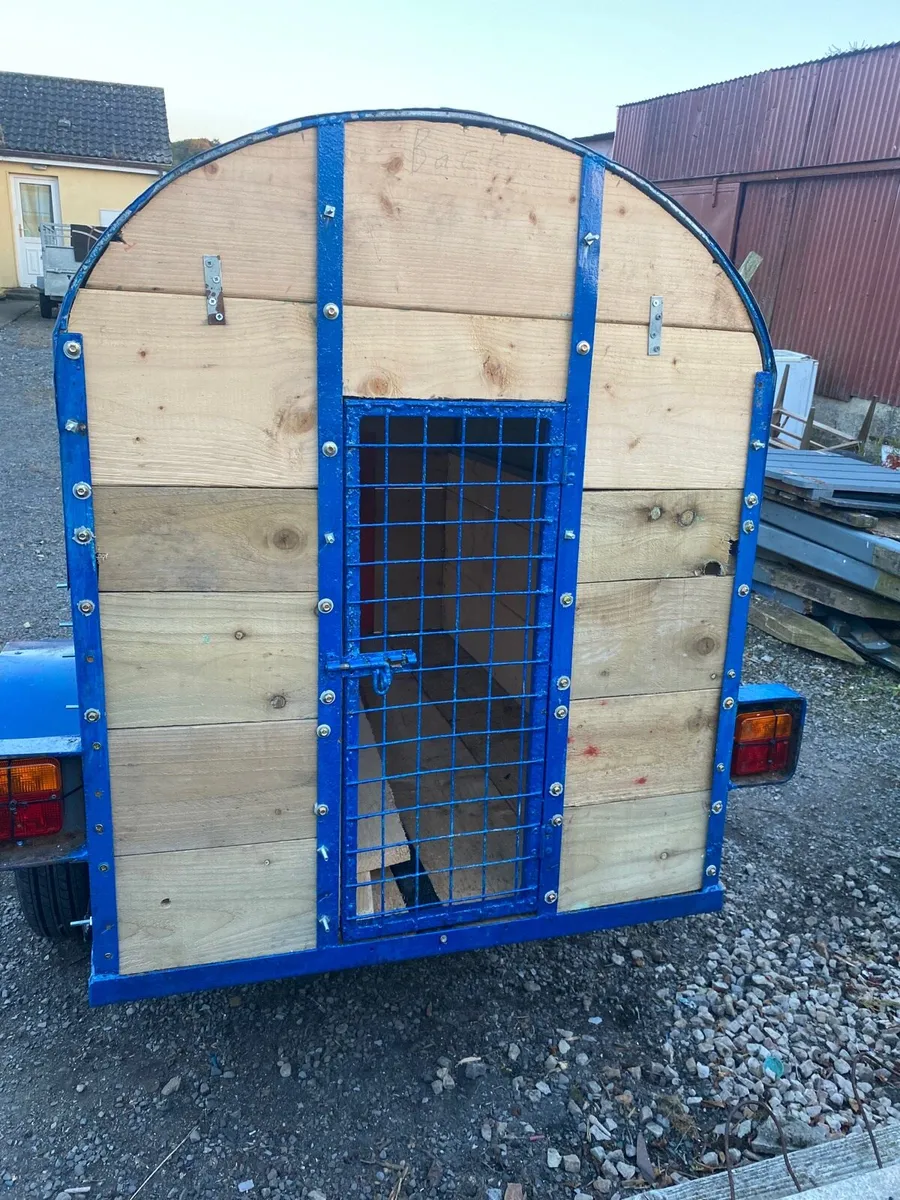 Dog box trailer 5x3 - Image 4