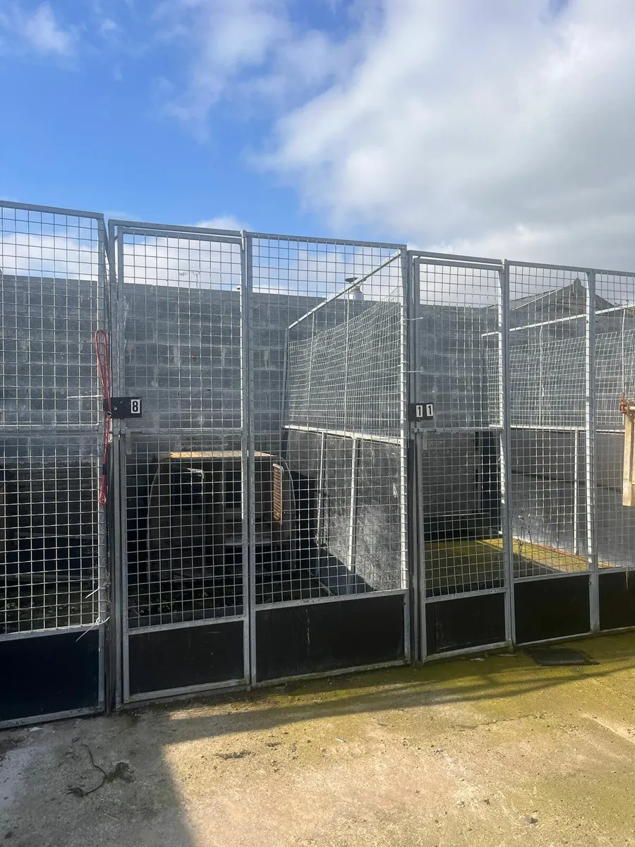 Dog kennels for sale in Co. Louth for 2 000 on DoneDeal