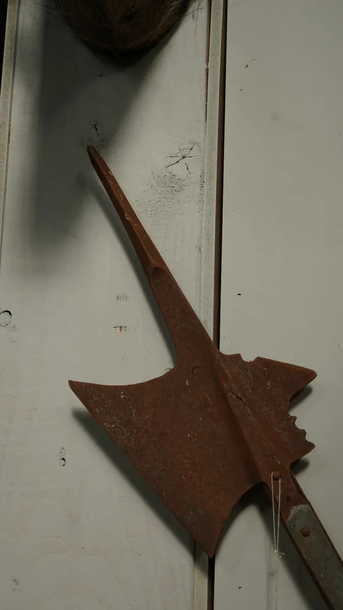Original Medieval Halberds - Image 3
