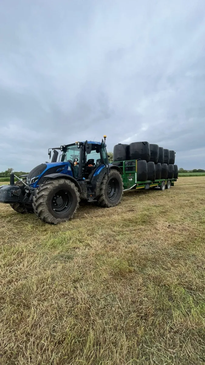 🐄🐄 🔴🔴 SILAGE  🔴🔴 🐄🐄 - Image 2