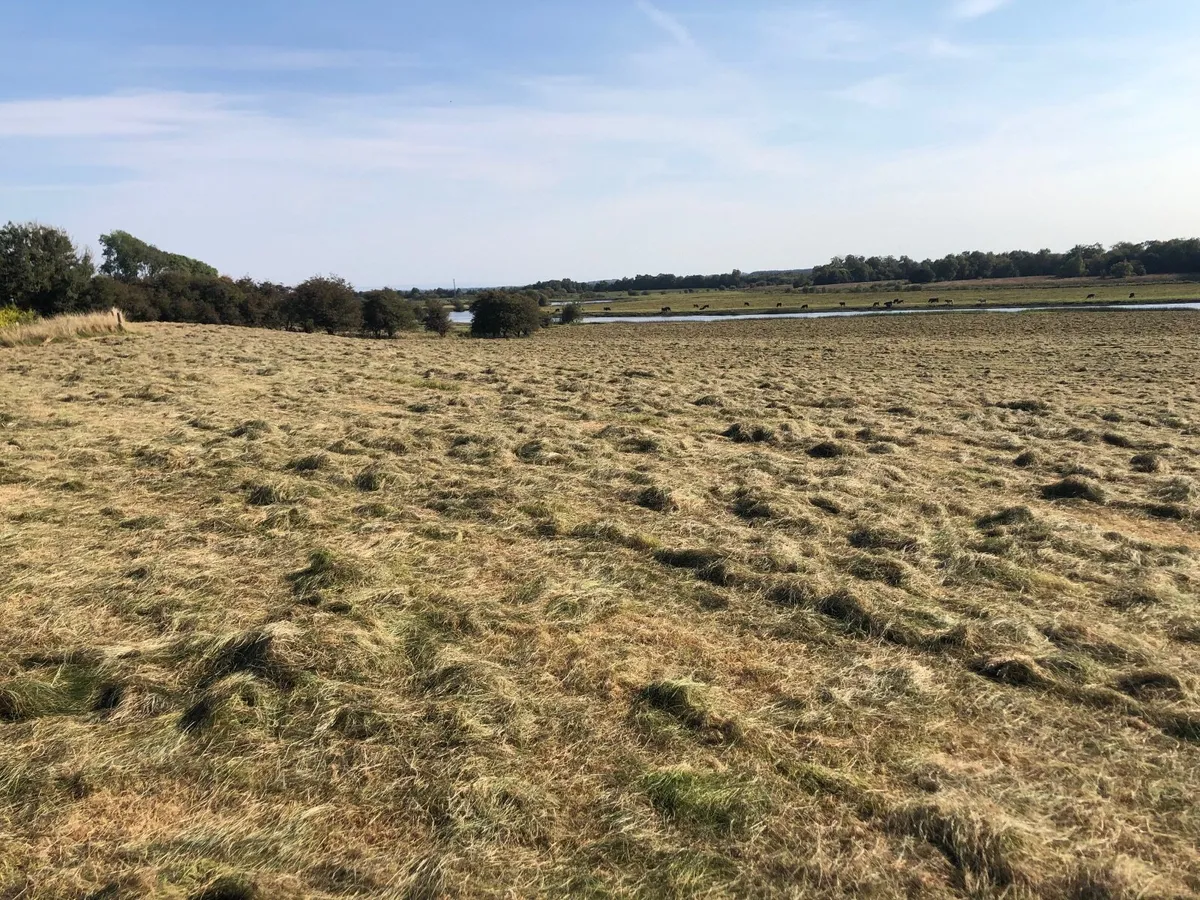 Haylage and Hay for sale in Co. Galway for €35 on DoneDeal