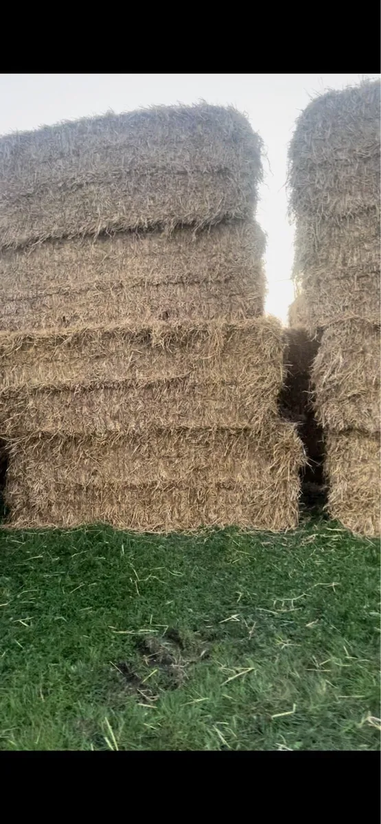 Straw - Image 2