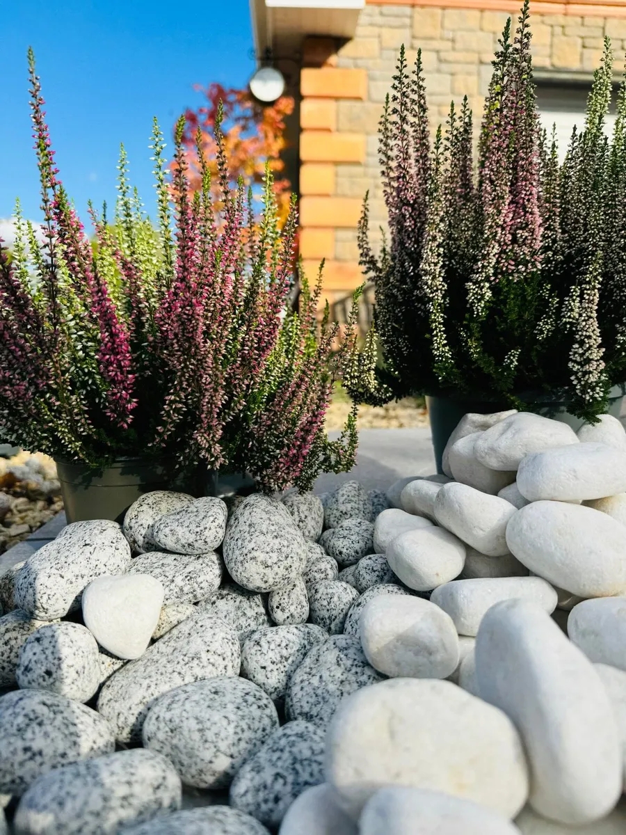 PLAY SAND - Image 1