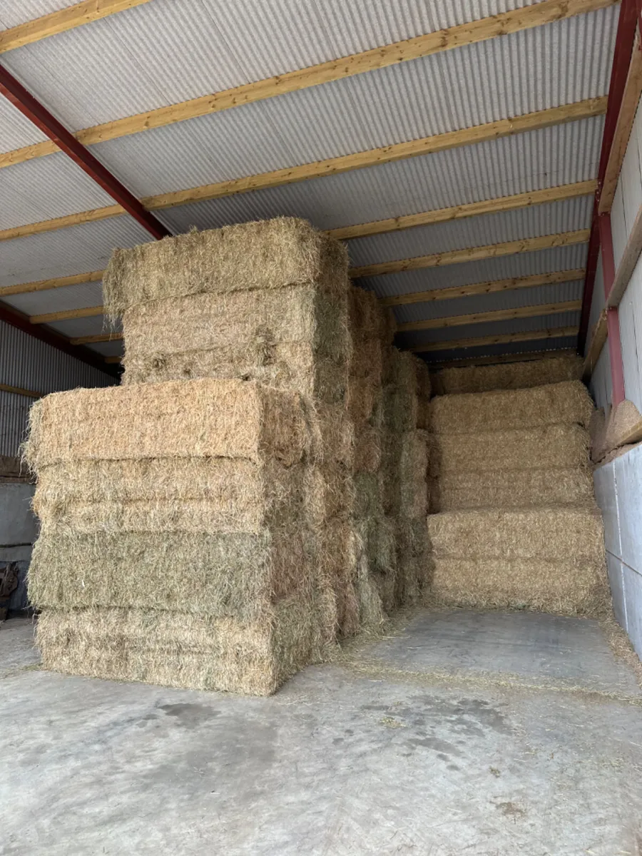 Hay and straw - Image 3