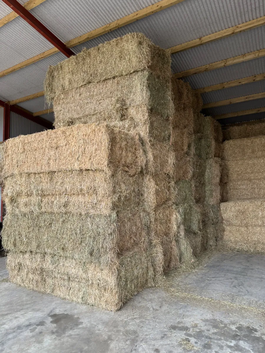 Hay and straw - Image 1