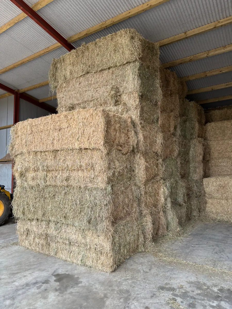 Hay and straw - Image 4