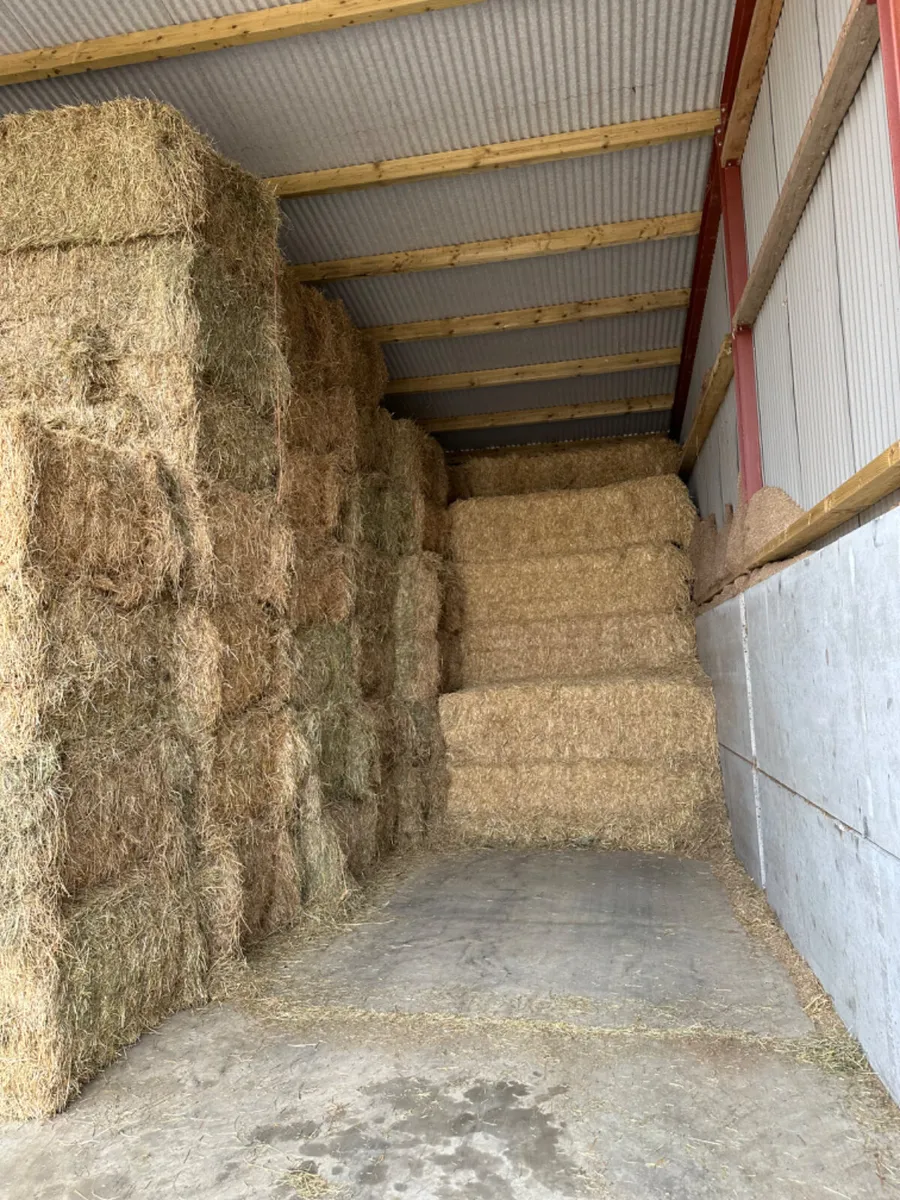 Hay and straw - Image 2