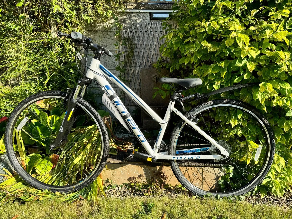 Teen Girls Bike - Image 1