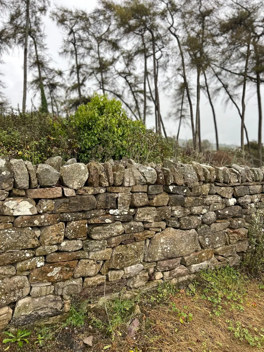 Postman Pat Old Farm Fieldstone Walling - Image 3