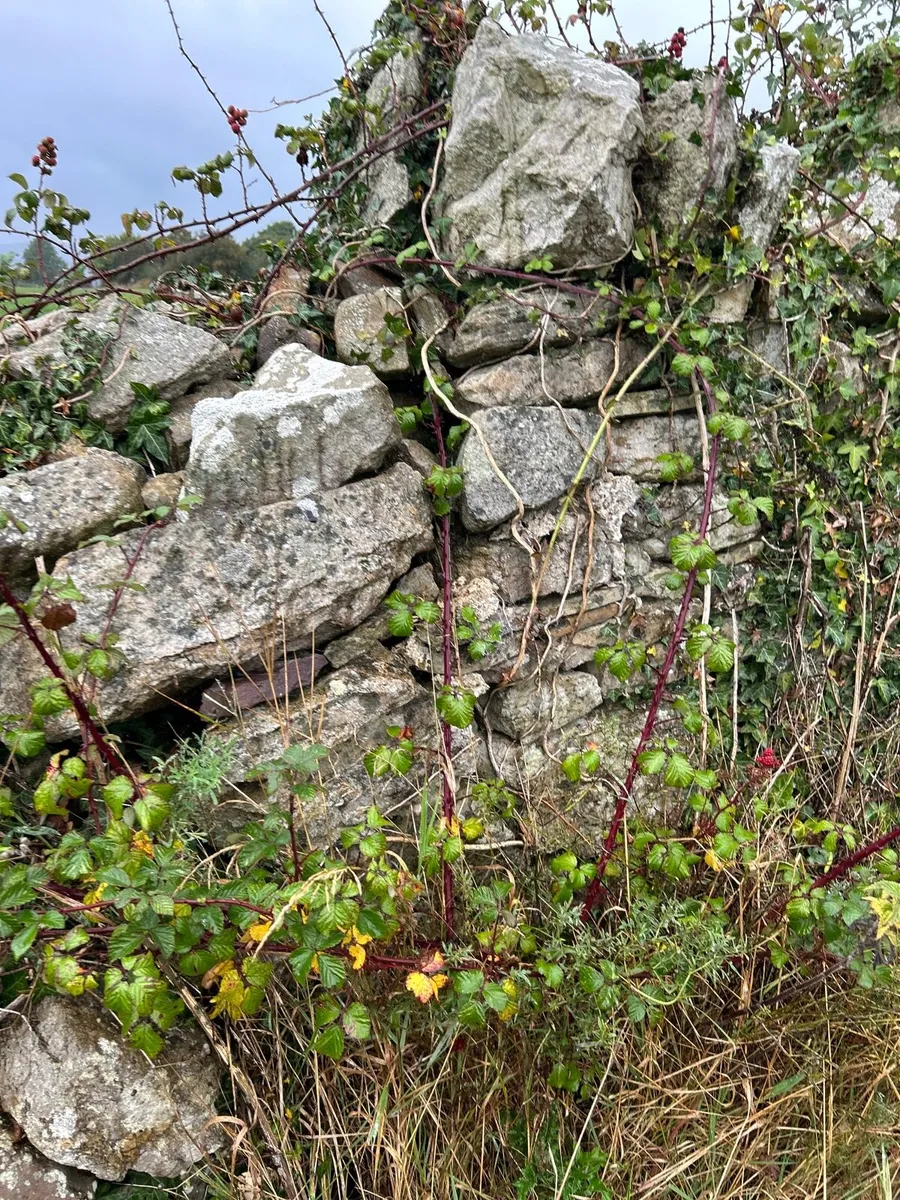 Postman Pat Old Farm Fieldstone Walling - Image 4