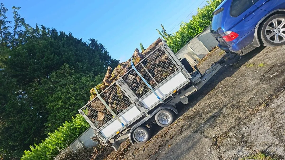 Seasoned Hardwood firewood for sale - Image 3
