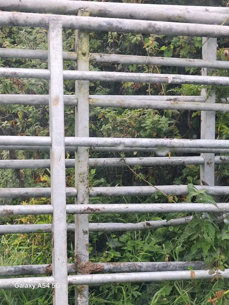 Gates for sale in Co. Galway for €60 on DoneDeal