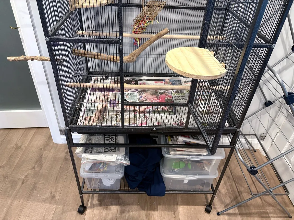 Bird Flight Cage for sale in Co. Galway for €100 on DoneDeal