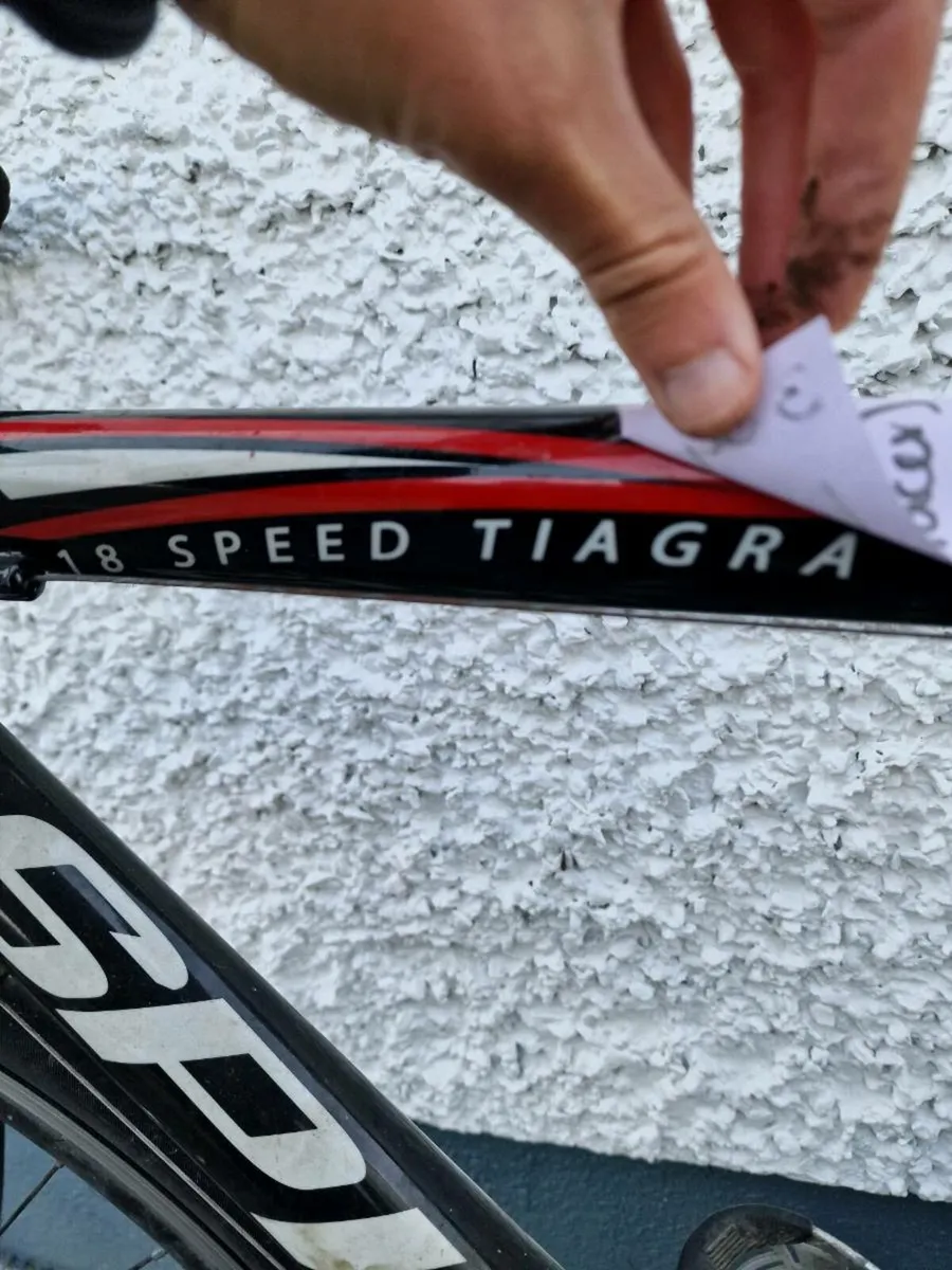 spider Jupiter 18 speed tiagra for sale in Co. Galway for €200 on DoneDeal