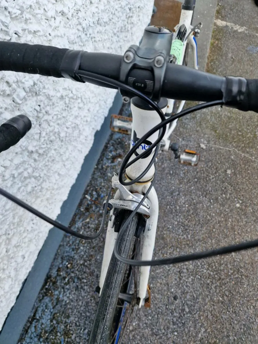 Bentini Marino Racer/road bike for sale in Co. Galway for €200 on DoneDeal