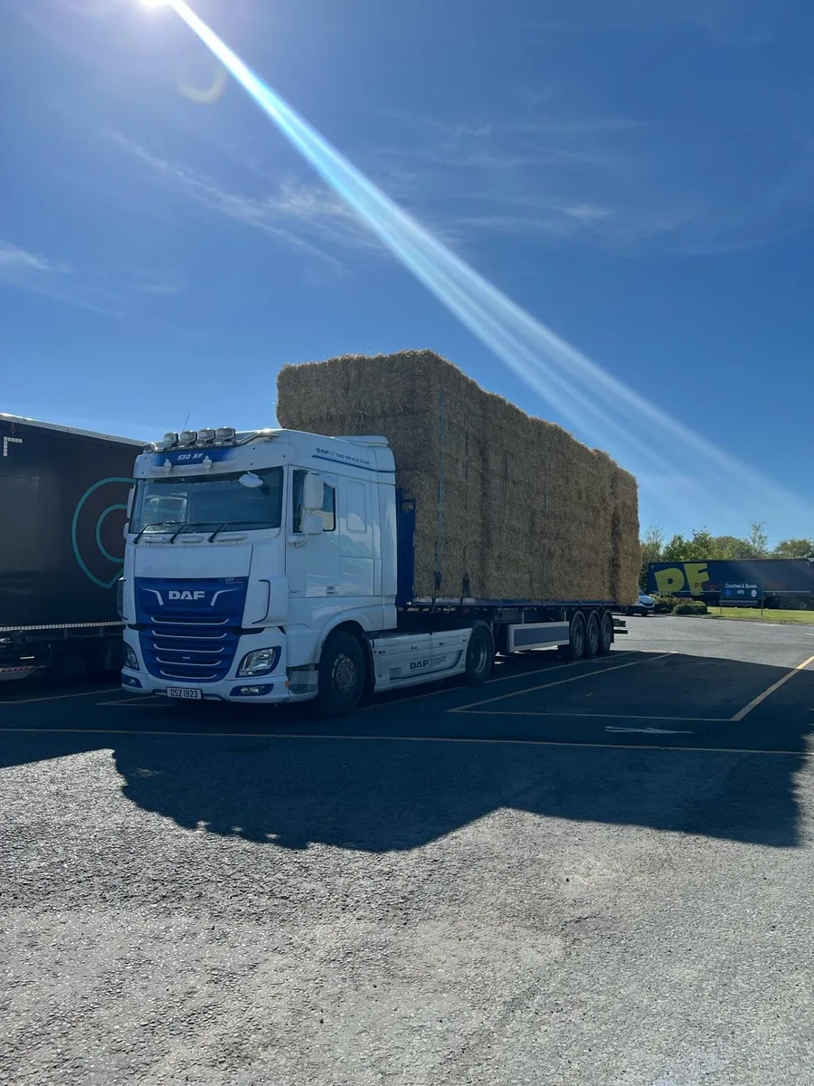 8/4/3 bales of barley straw and wheat. - Image 3