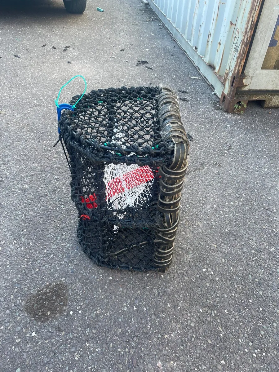 24 x 18 and 22 x 16 lobster crab pots - Image 1