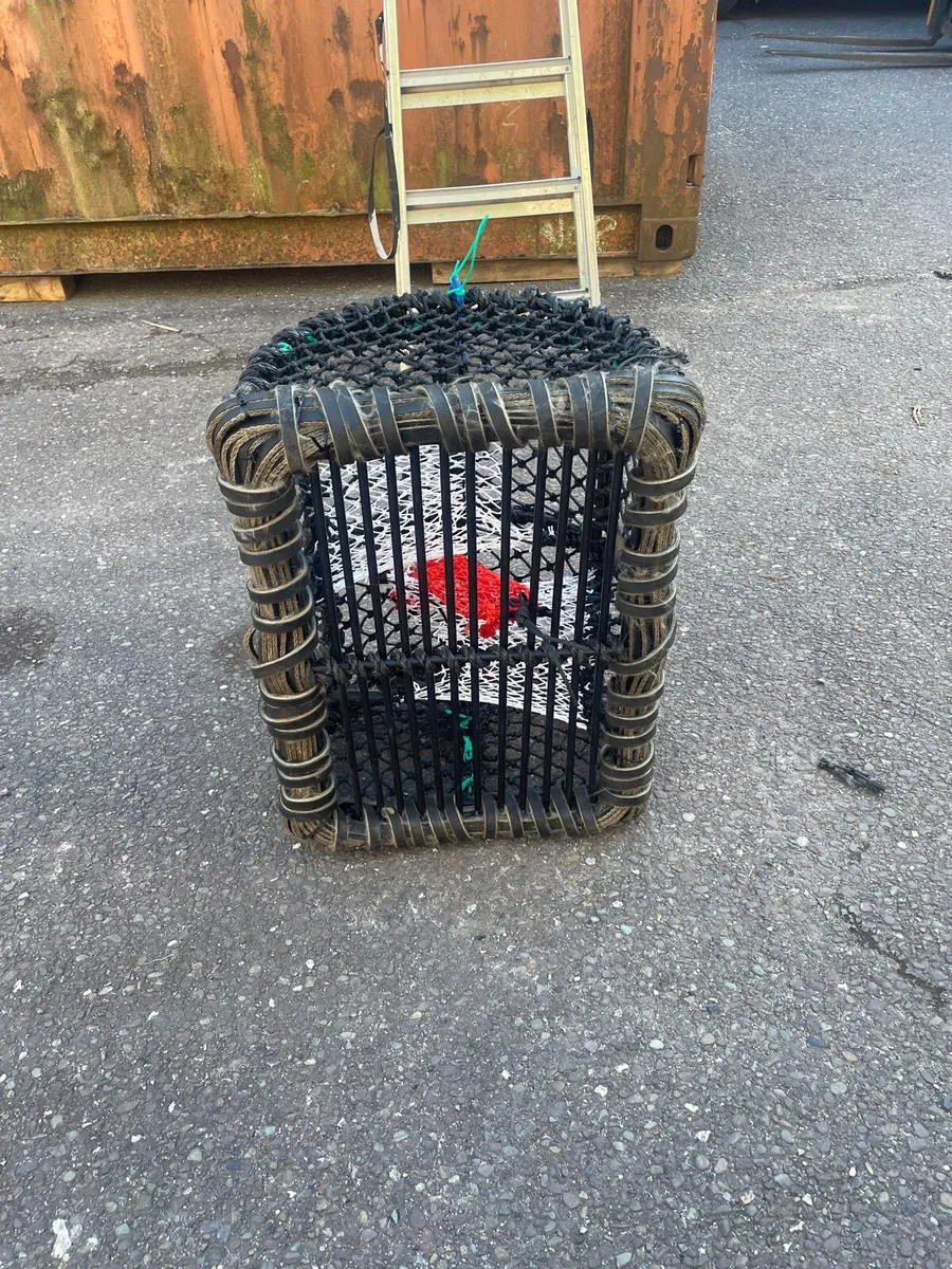 24 x 18 and 22 x 16 lobster crab pots - Image 2
