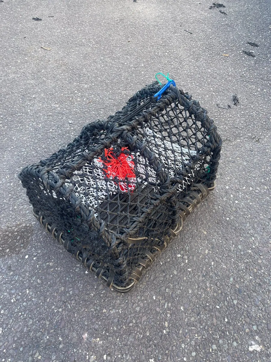 24 x 18 and 22 x 16 lobster crab pots - Image 3