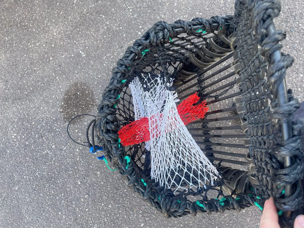 24 x 18 and 22 x 16 lobster crab pots - Image 4