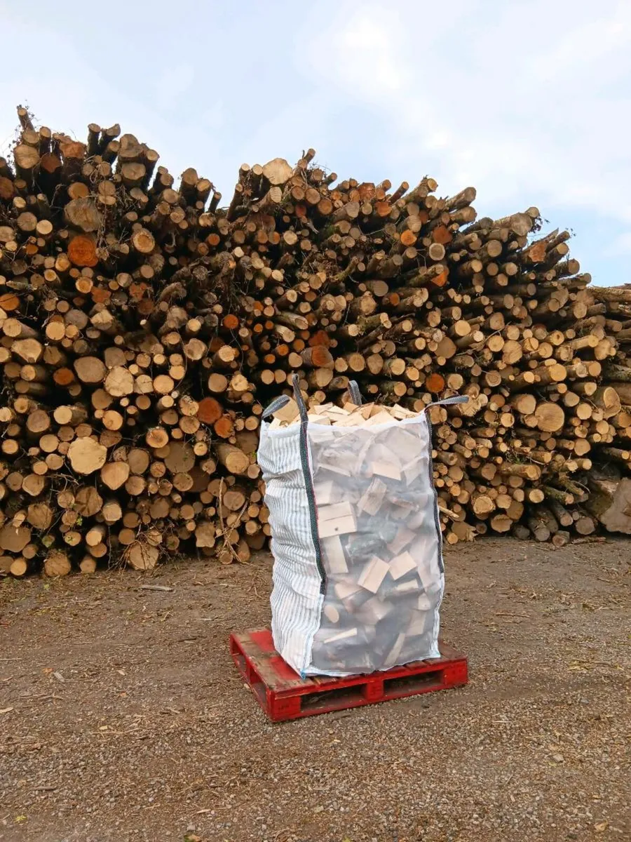 DRY ASH FIREWOOD - Image 2