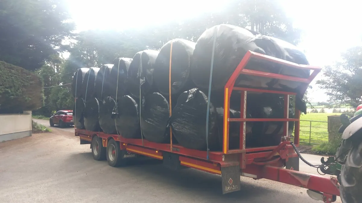 Haylage bales reduced to clear 17 euros a bale - Image 2