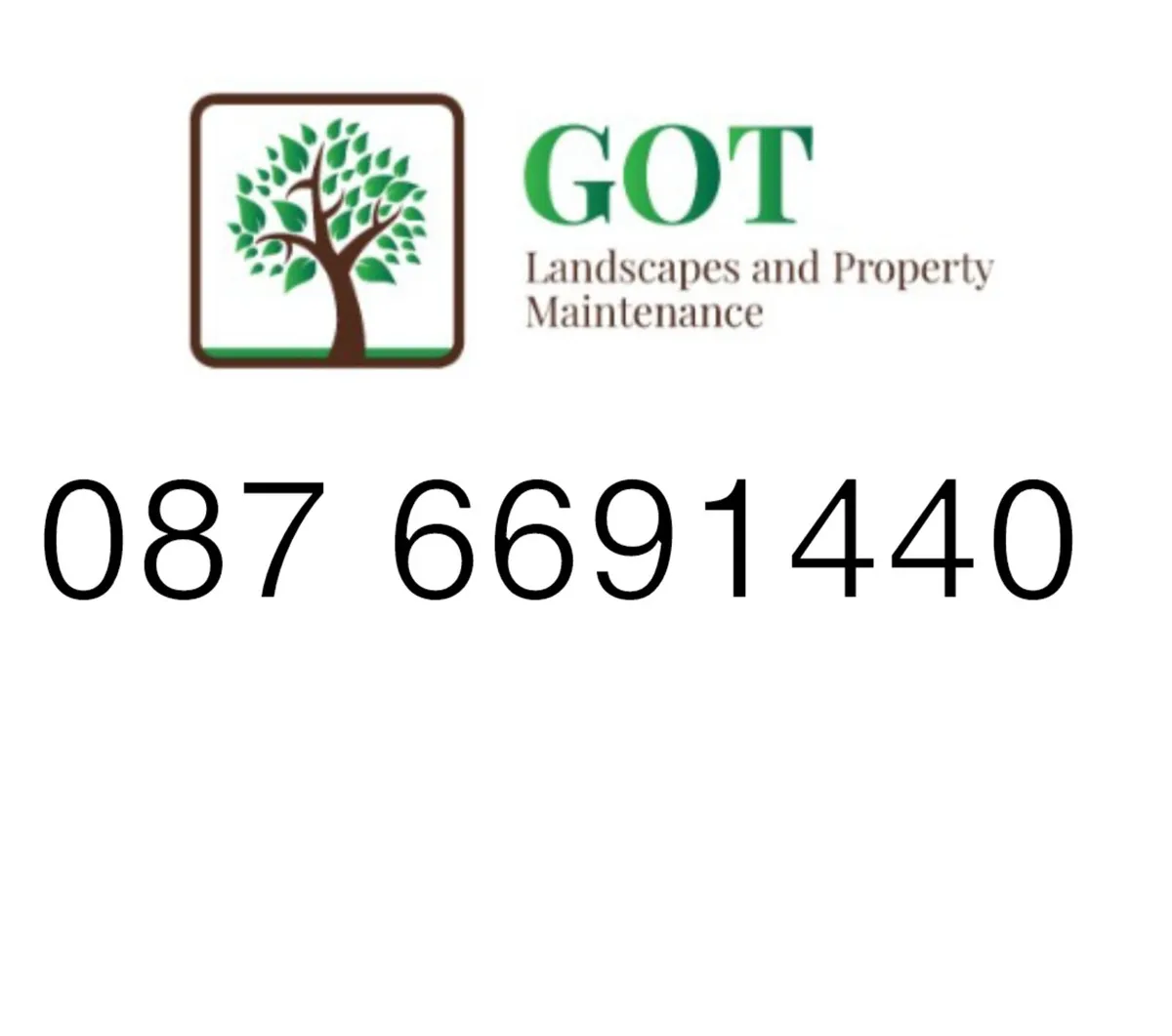 Full garden maintenance - Image 2