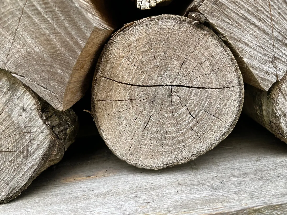 Firewood - Hardwood - Image 1