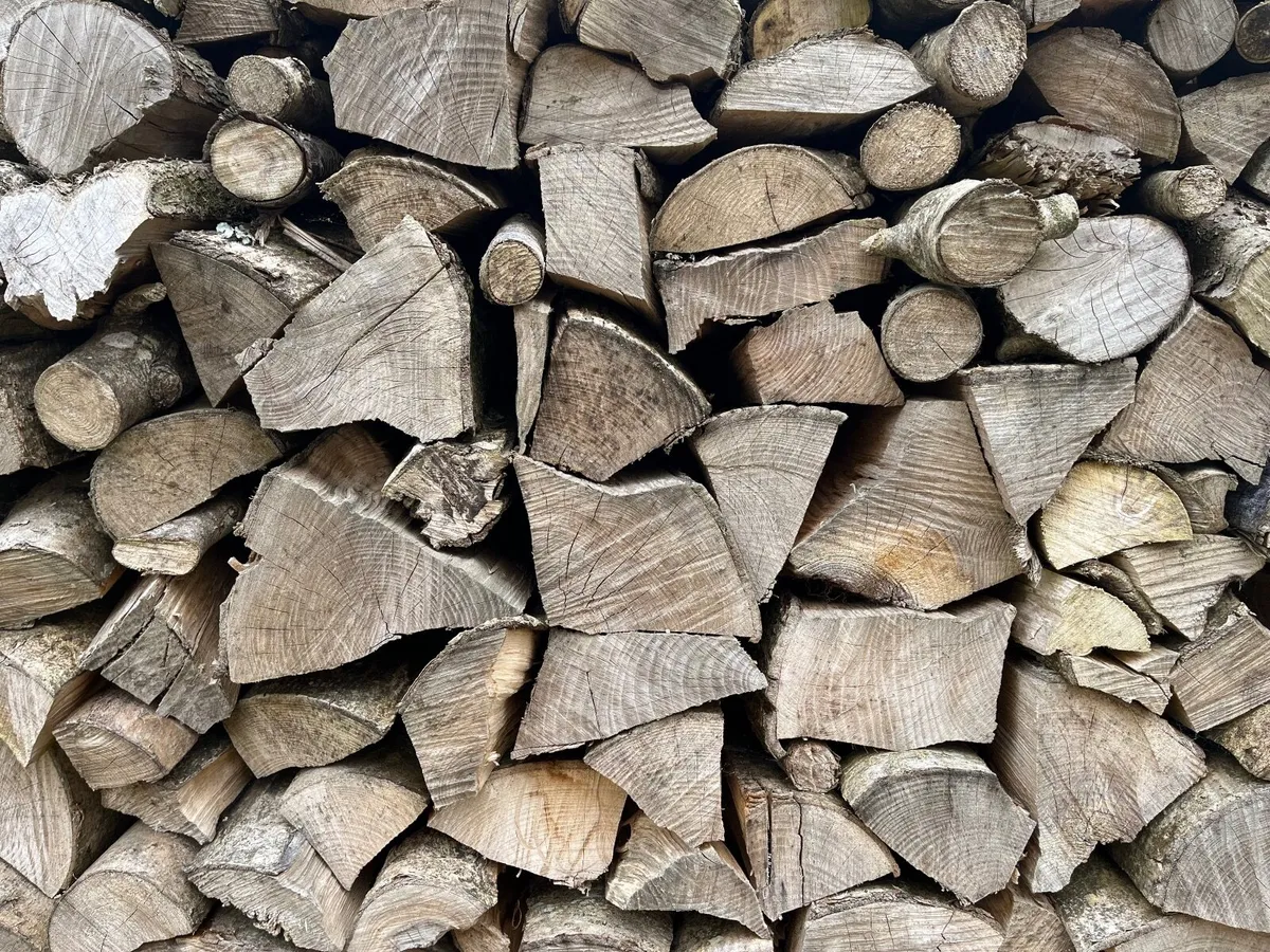Firewood - Hardwood - Image 2
