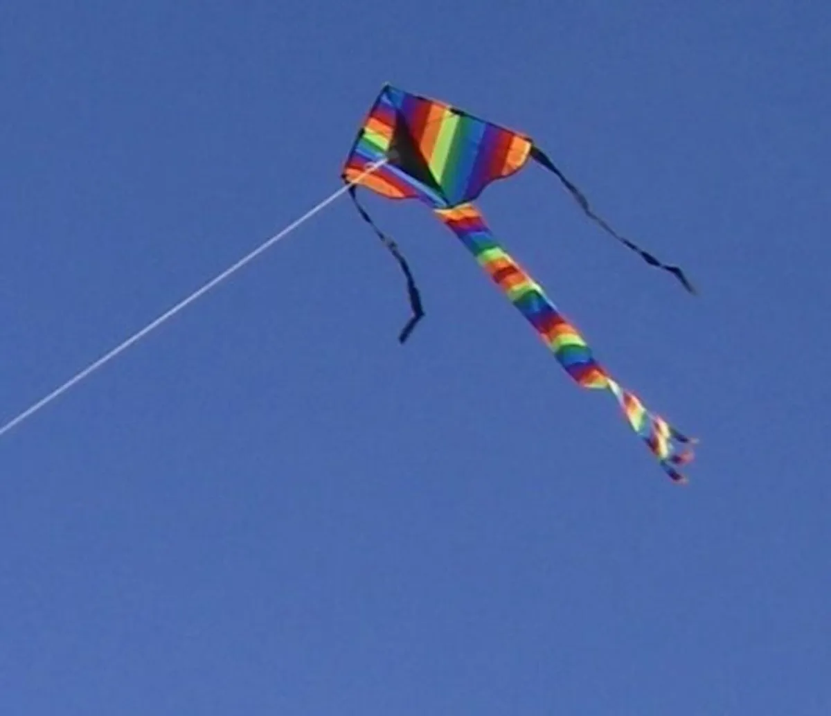 Kite Bird Scarer - Image 3