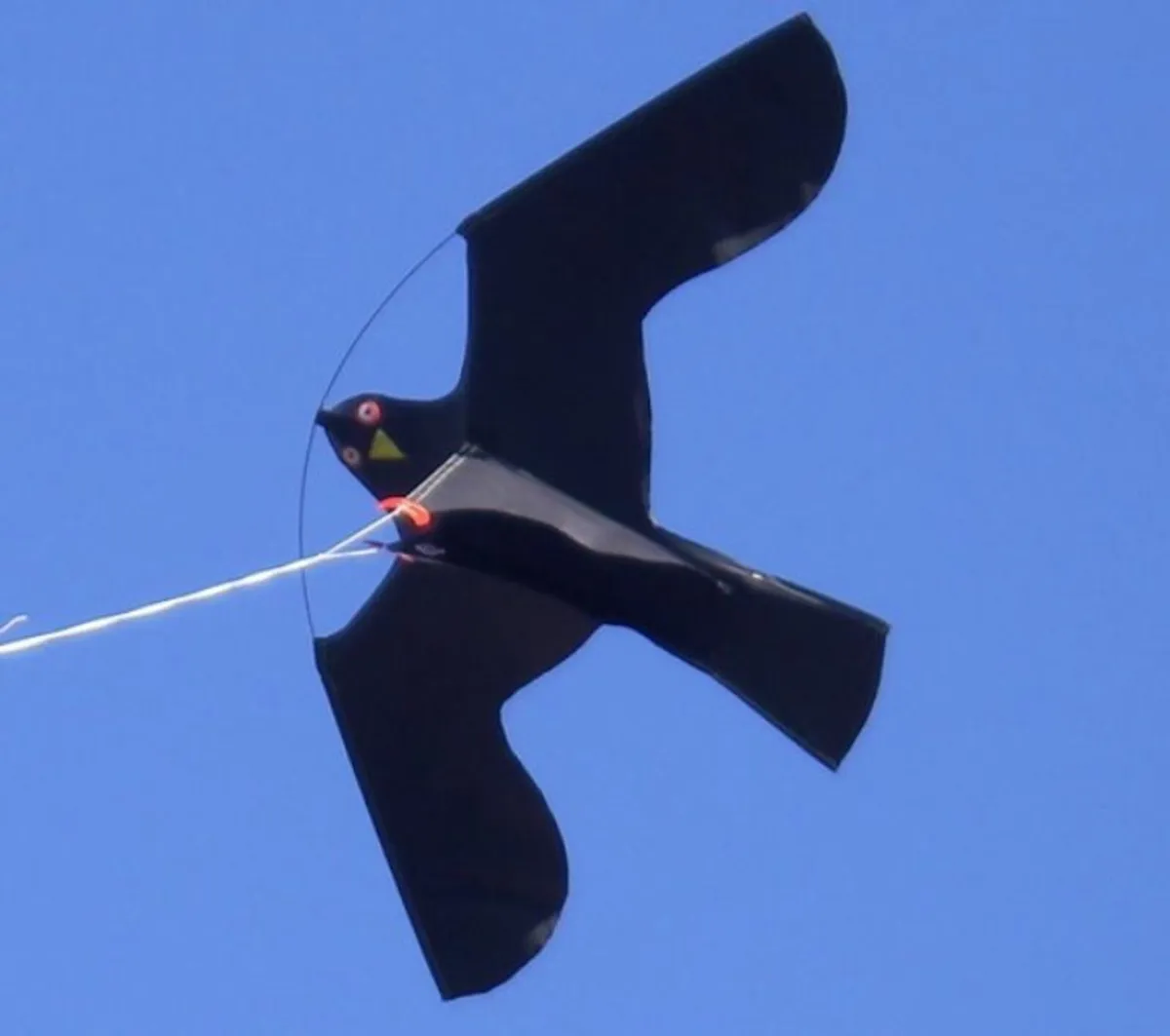 Kite Bird Scarer - Image 2