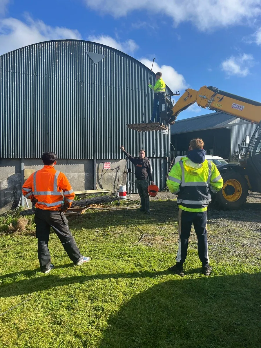 Cleaning and painting Sheds - Image 1