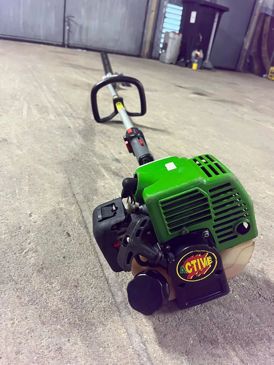 Active Italian Long Reach Hedge Trimmer for sale in Co. Leitrim for €