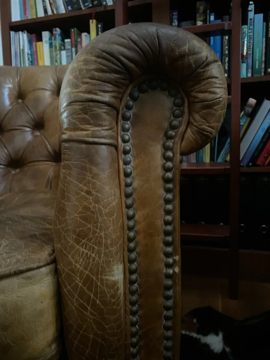 Vintage Chesterfield Sofa and Armchairs - Image 4