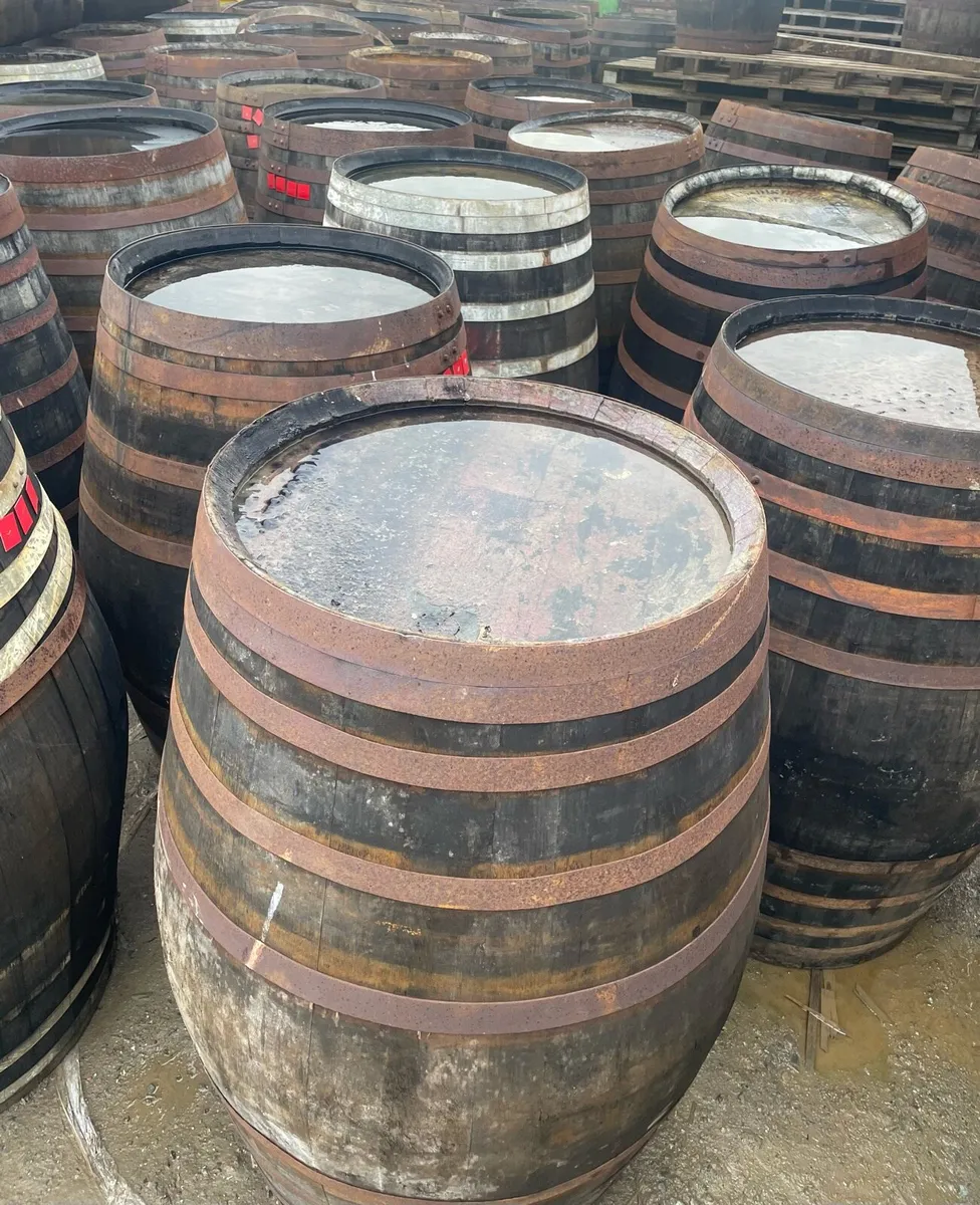 500L Whiskey barrel ice bath from 200 - Image 4