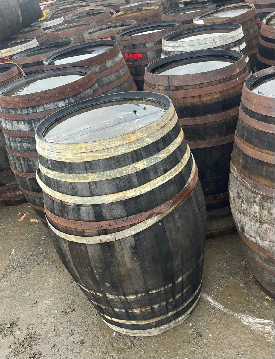 Xxl 500L whiskey barrels. 130cm high. 40 in stock - Image 2