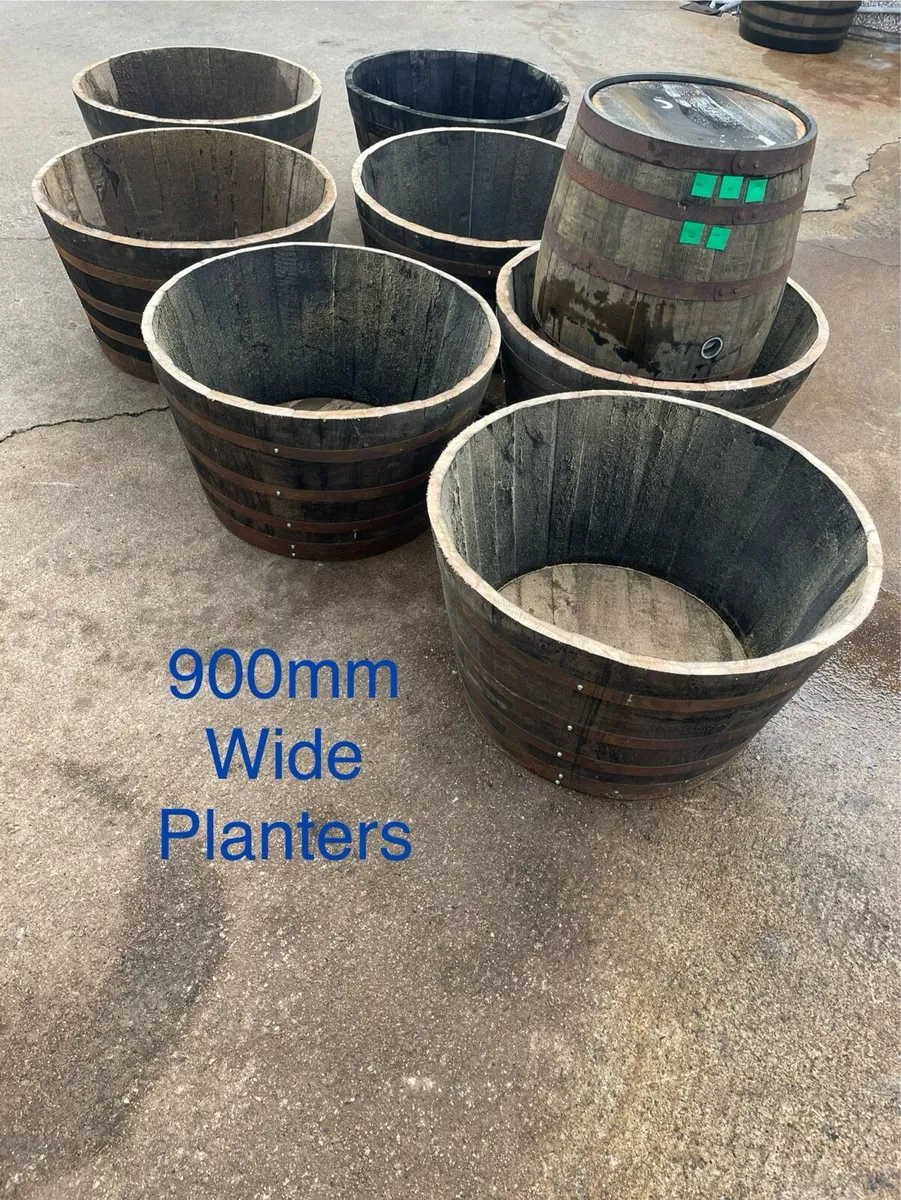 Xxl 500L whiskey barrels. 130cm high. 40 in stock - Image 3