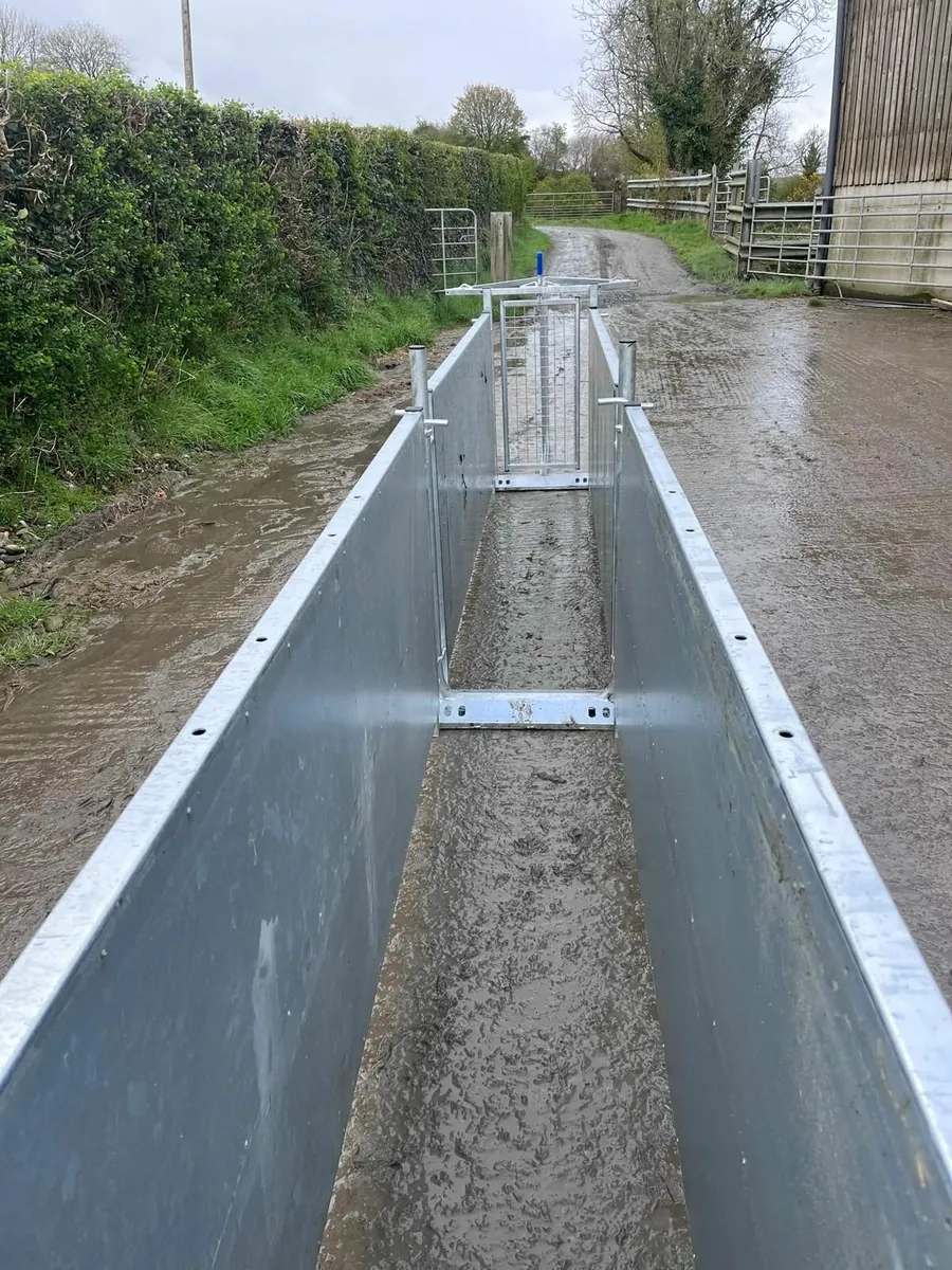 Quad trailers 7.6x4.6 and 5x3 - Image 4