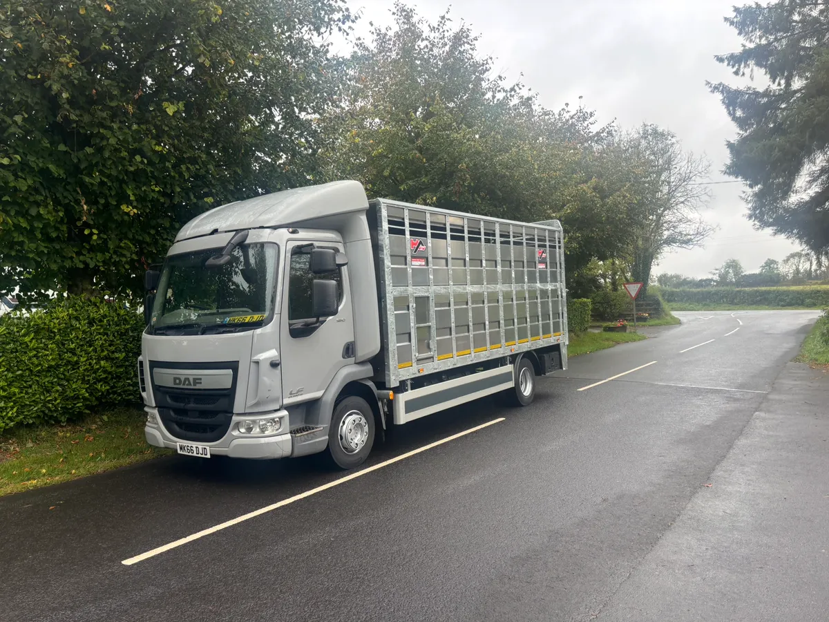 Daf 12 ton cattle lorry - Image 1