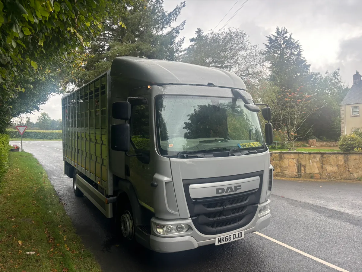 Daf 12 ton cattle lorry - Image 3