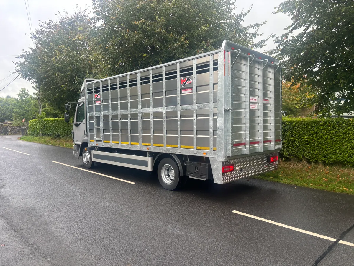 Daf 12 ton cattle lorry - Image 4