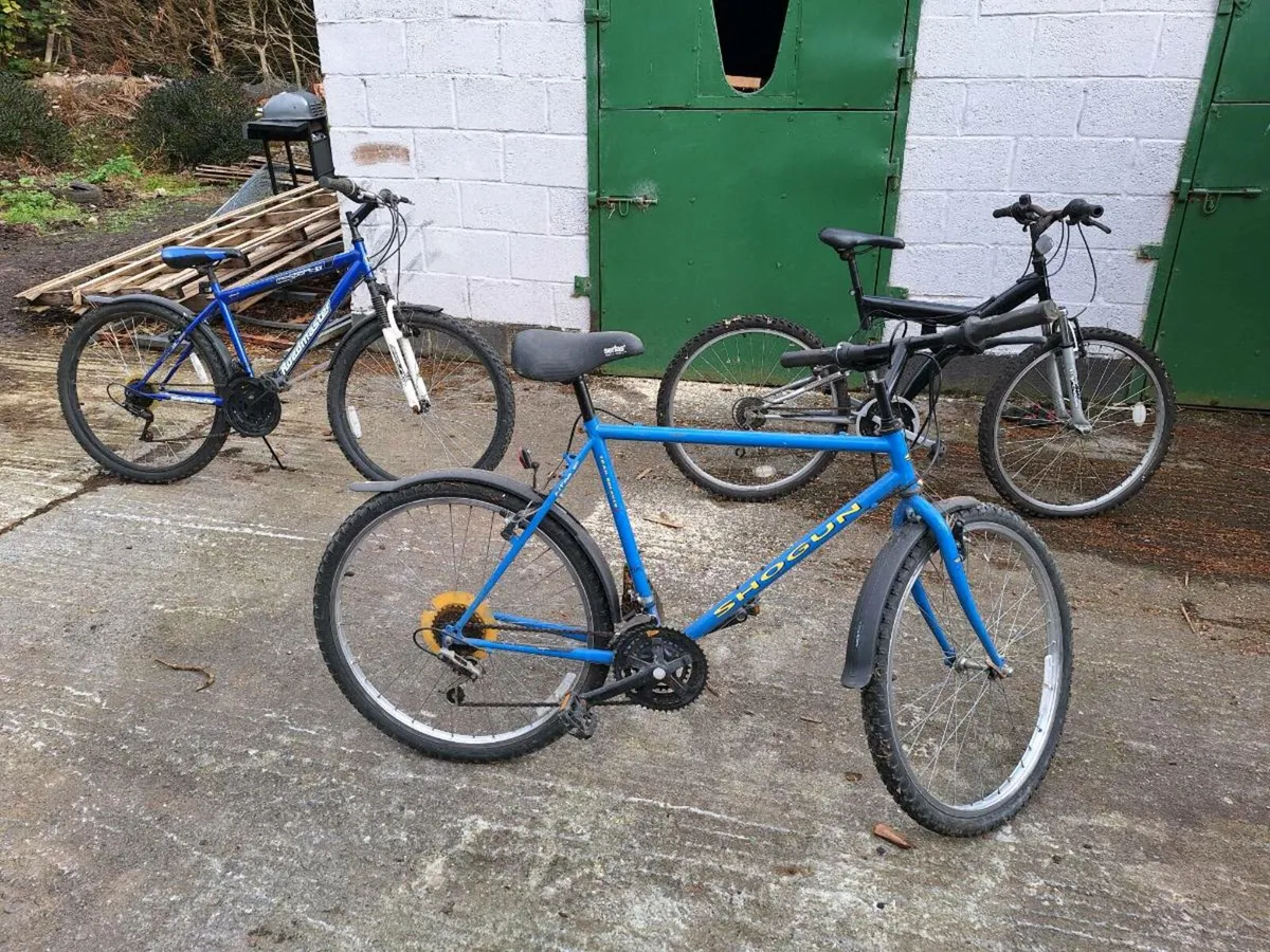 Mountain bikes