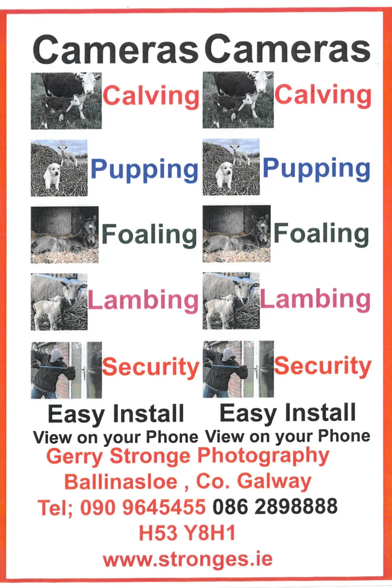 Calving and Security Cameras. - Image 1