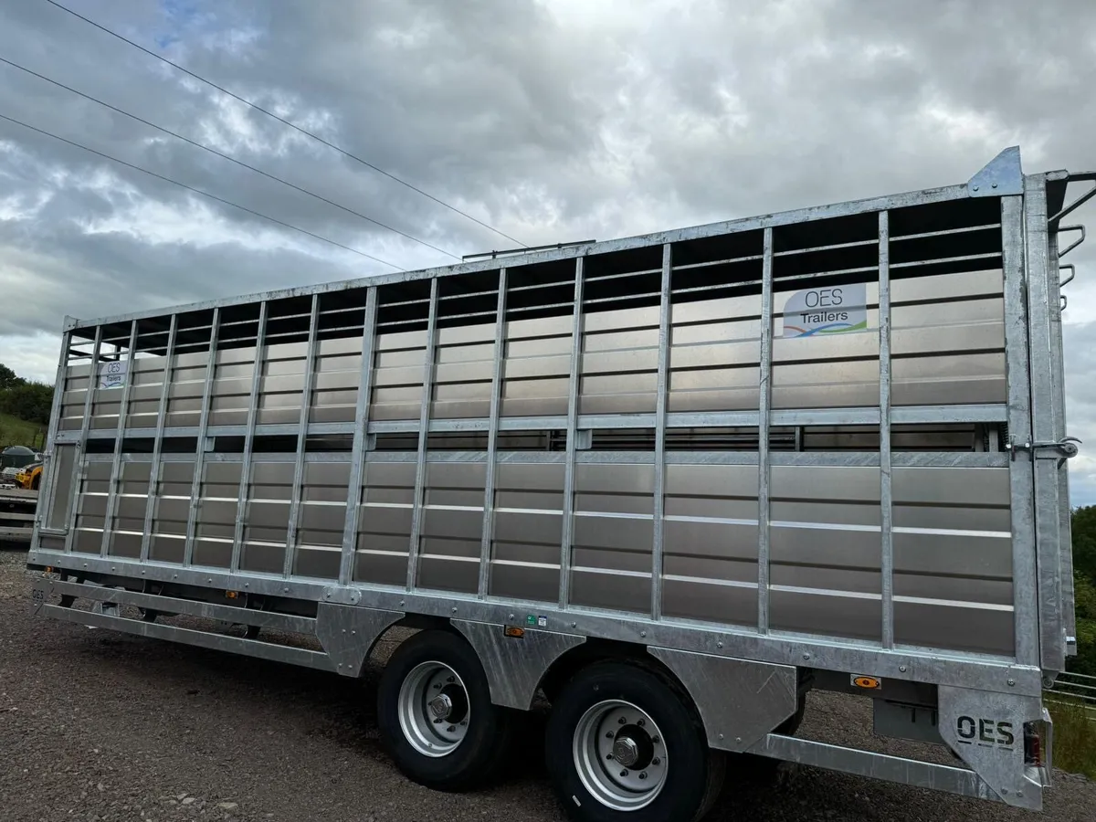 Cattle /sheep trailer - Image 4