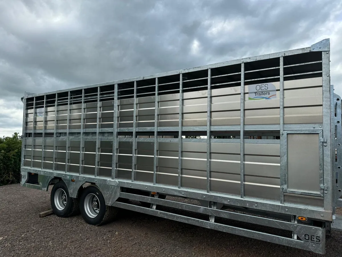 Cattle /sheep trailer - Image 1