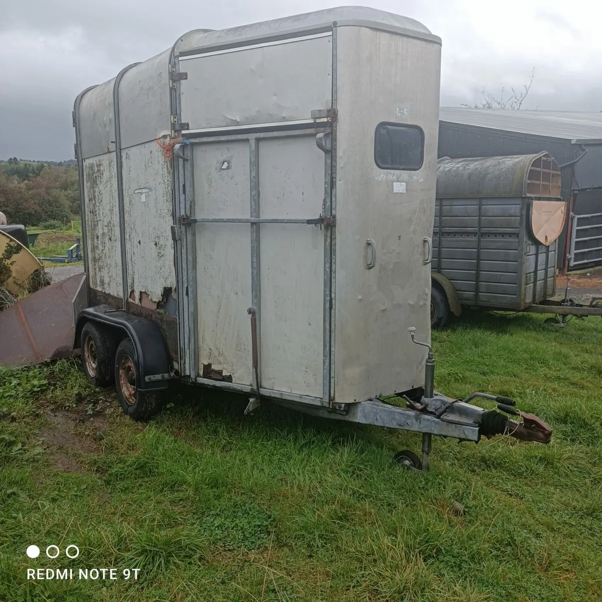 Ivor Williams horse box for sale - Image 1