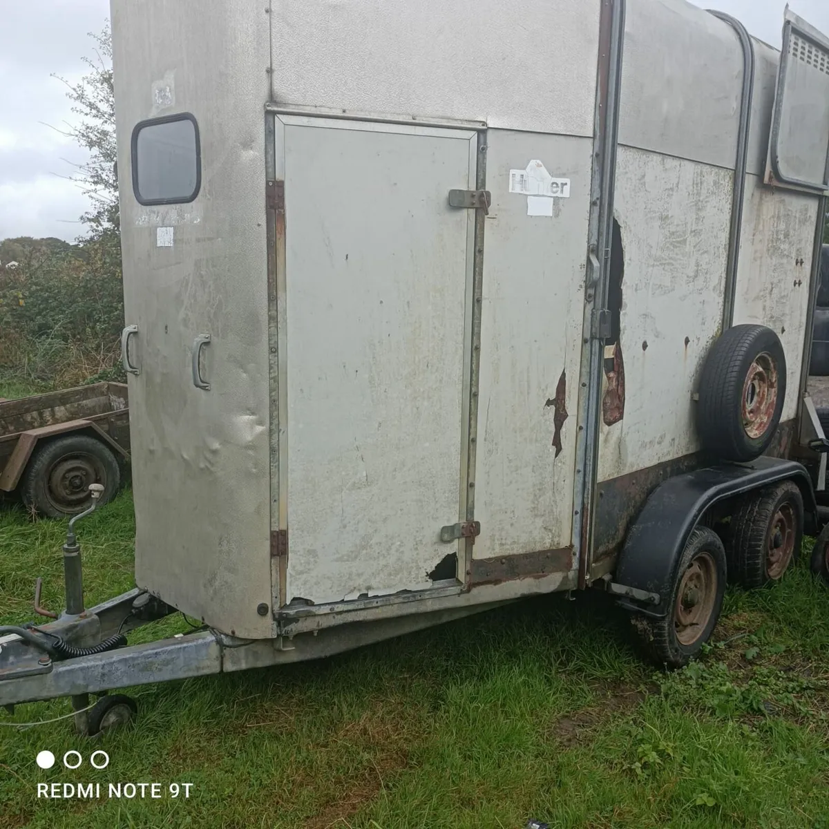 Ivor Williams horse box for sale - Image 2